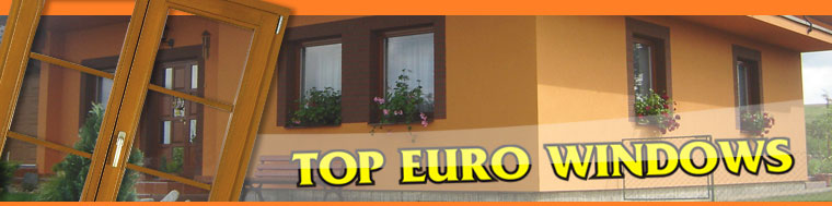 TOP EURO WNDOWS logo